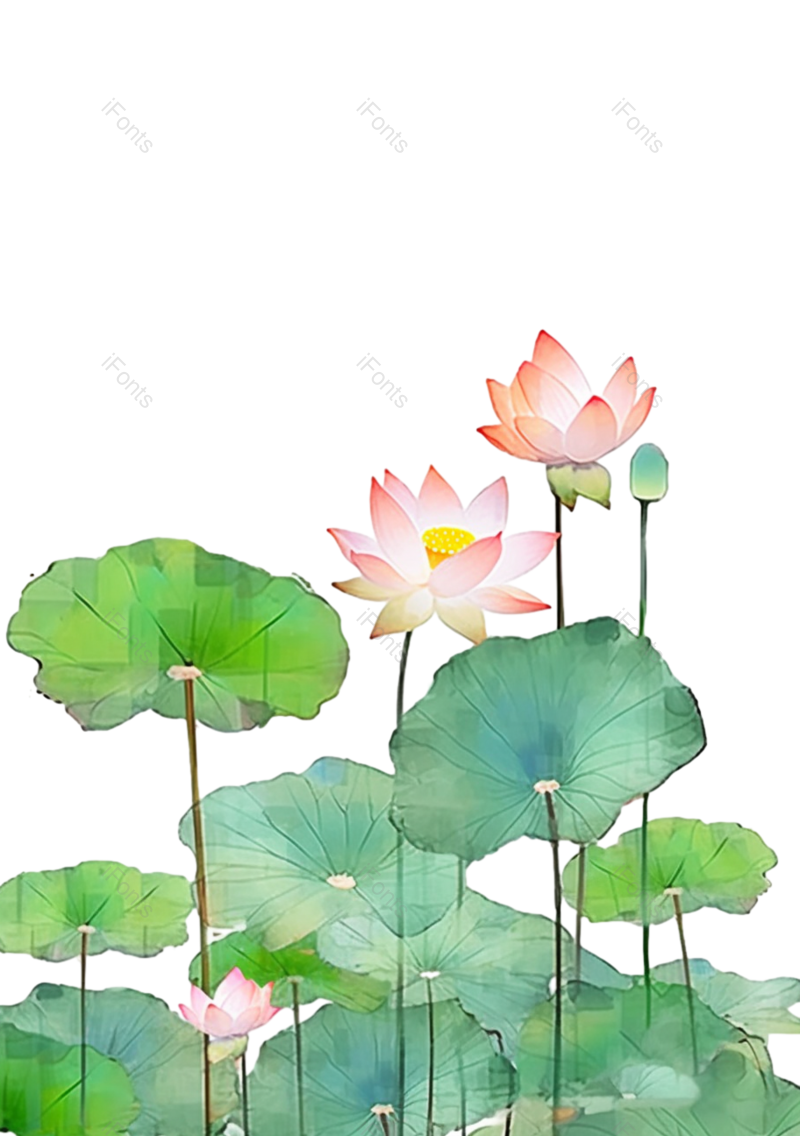 夏至图片,元素元素,荷花PNG,插画免抠素材